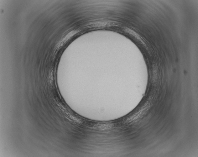 X0000068270778200605191827