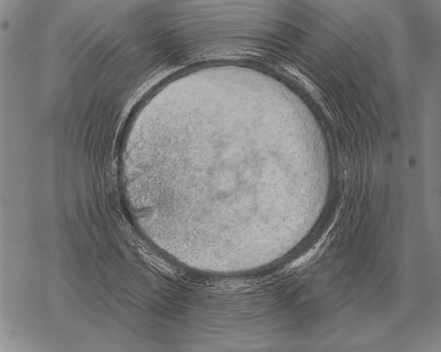 X0000068270779200605191827