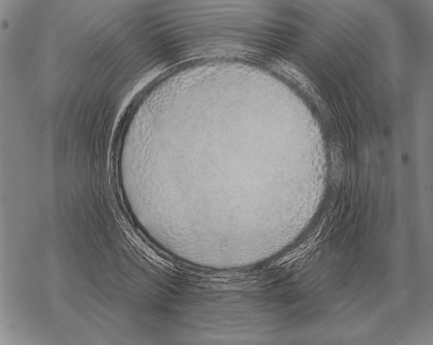 X0000068270780200605191827