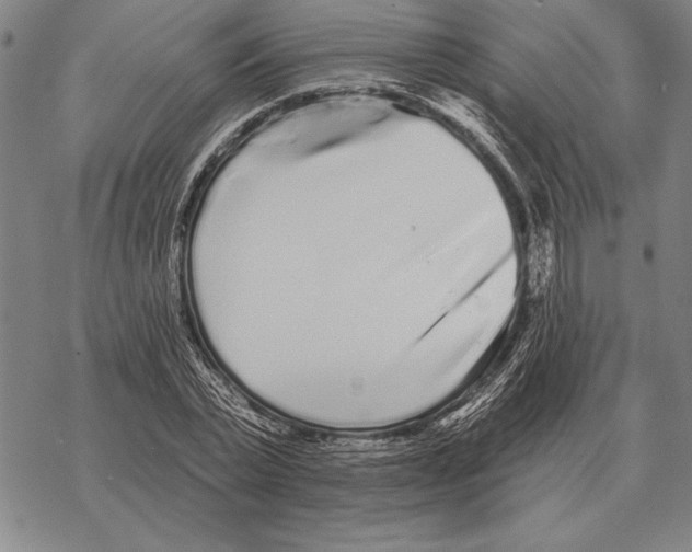 X0000068270783200605191827