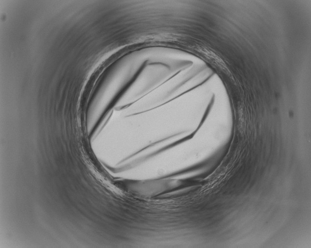 X0000068270784200605191827