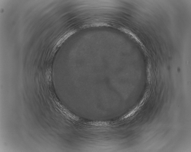 X0000068270785200605191827