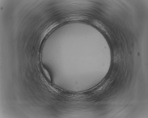 X0000068270786200605191827