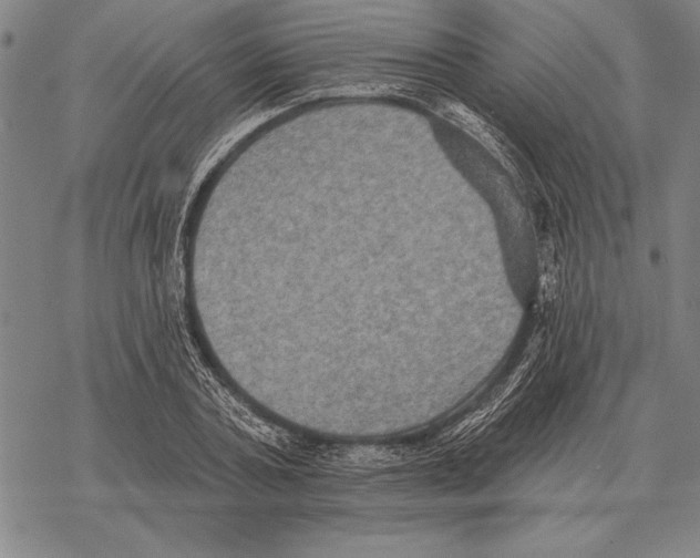 X0000068270787200605191827