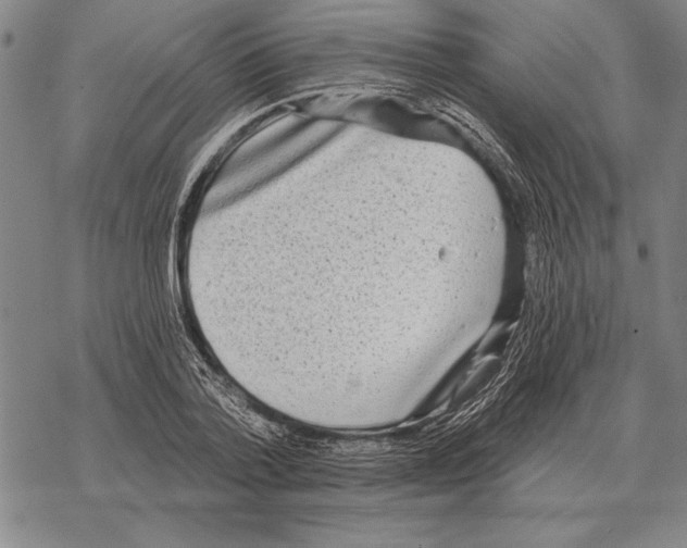 X0000068270788200605191827