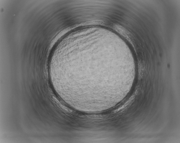 X0000068270789200605191827