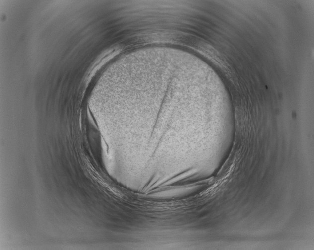 X0000068270790200605191827