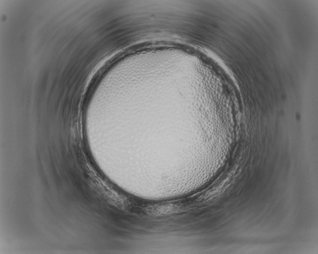 X0000068270791200605191827