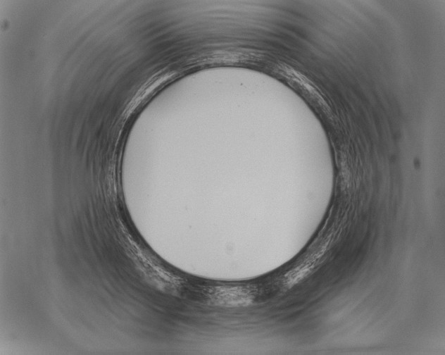 X0000068270794200605191826