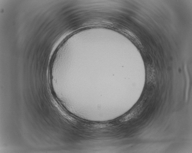 X0000068270796200605191826