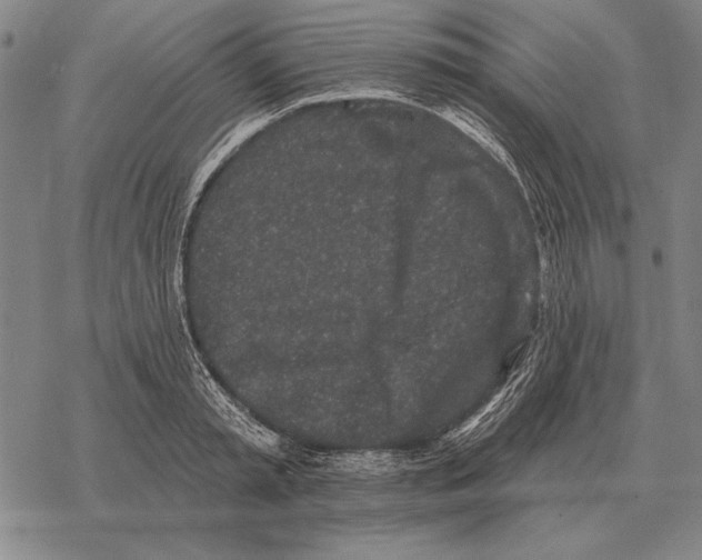 X0000068270797200605191826