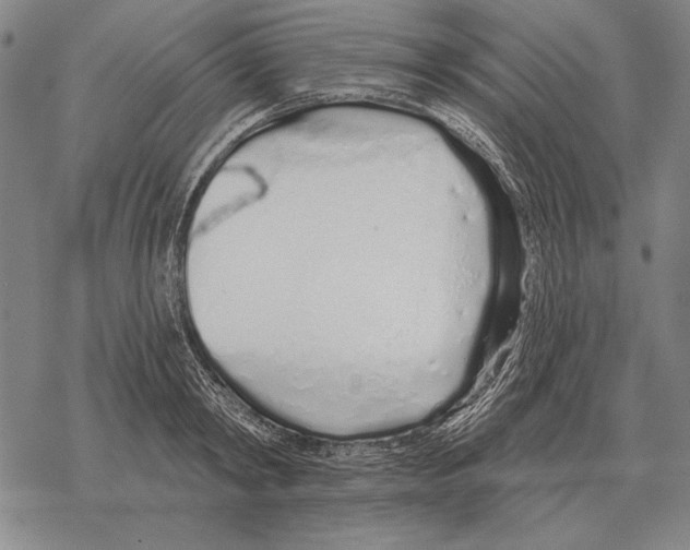 X0000068270798200605191826