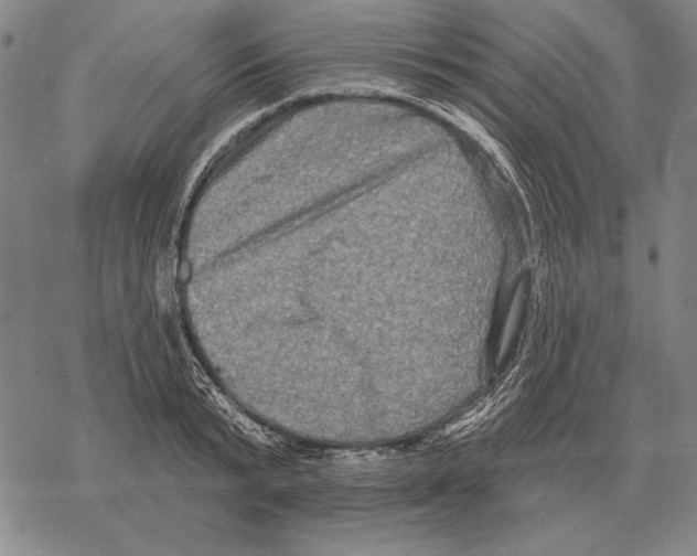 X0000068270799200605191826