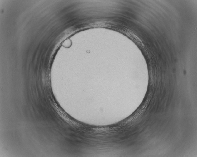 X0000068270800200605191826