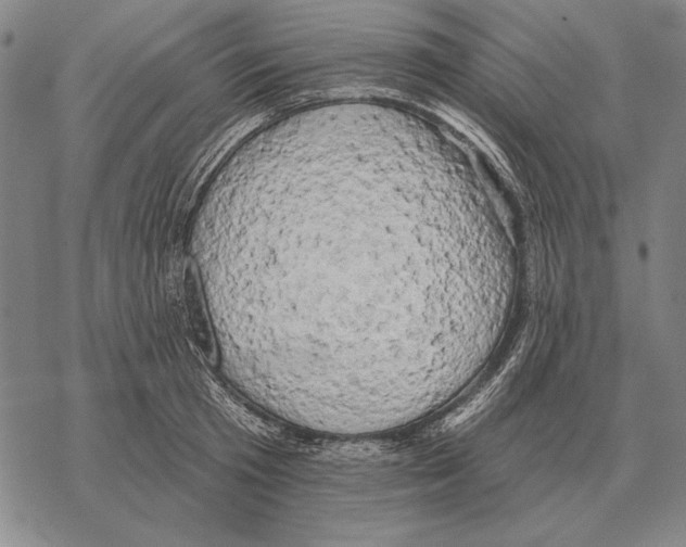 X0000068270801200605191826