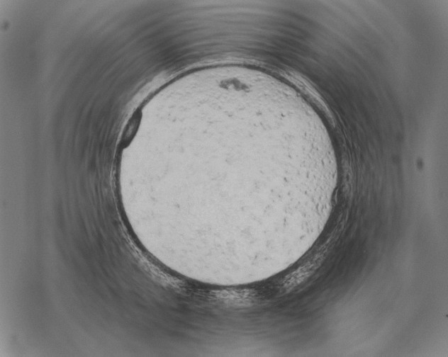 X0000068270805200605191826