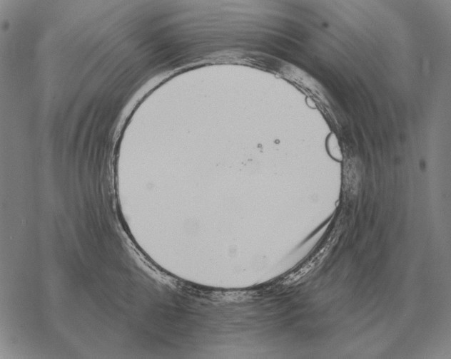 X0000068270808200605191826