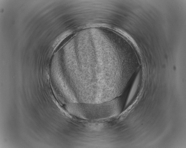 X0000068270809200605191826