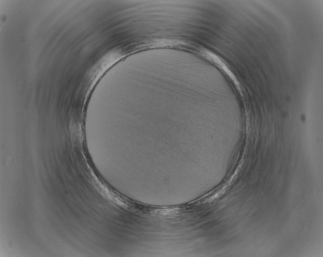 X0000068270810200605191826