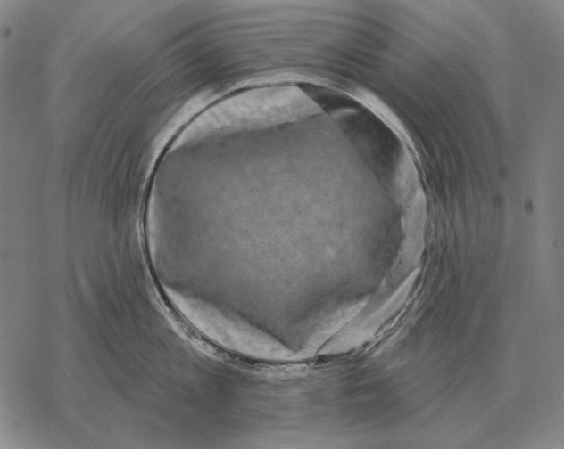 X0000068270813200605191826