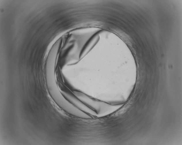 X0000068270816200605191826