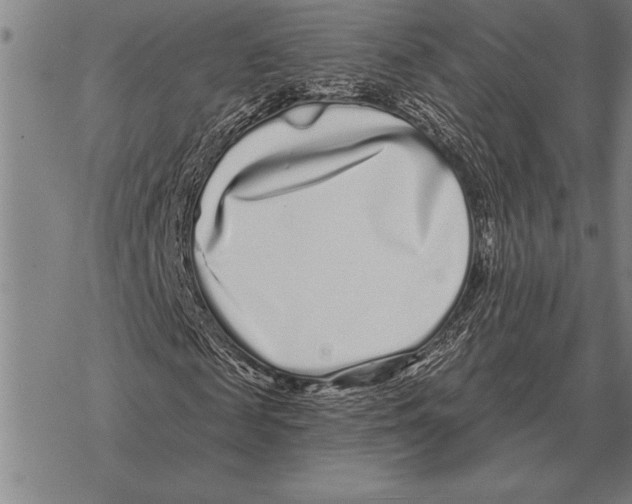 X0000068270817200605191825