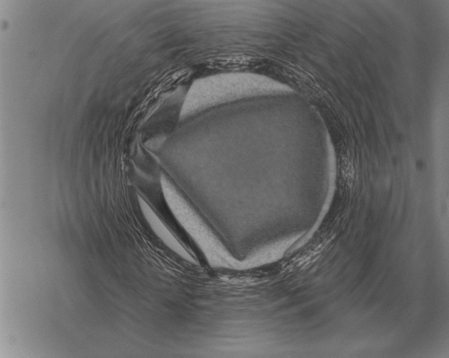 X0000068270818200605191825