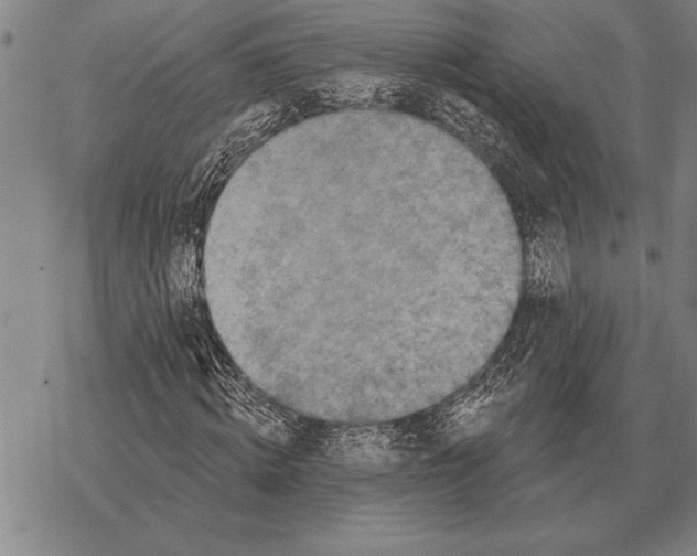 X0000068270820200605191825