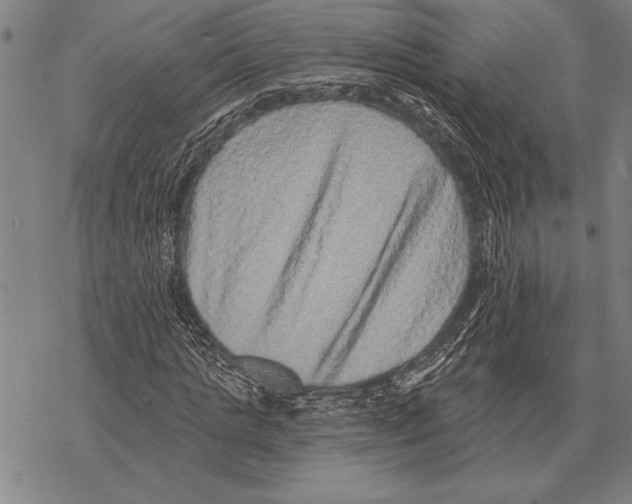 X0000068270821200605191825