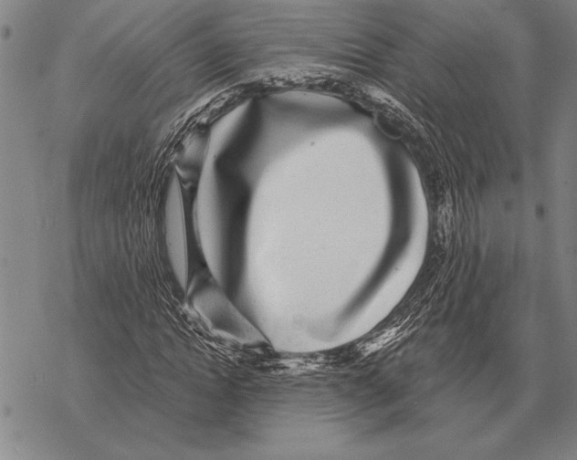 X0000068270822200605191825