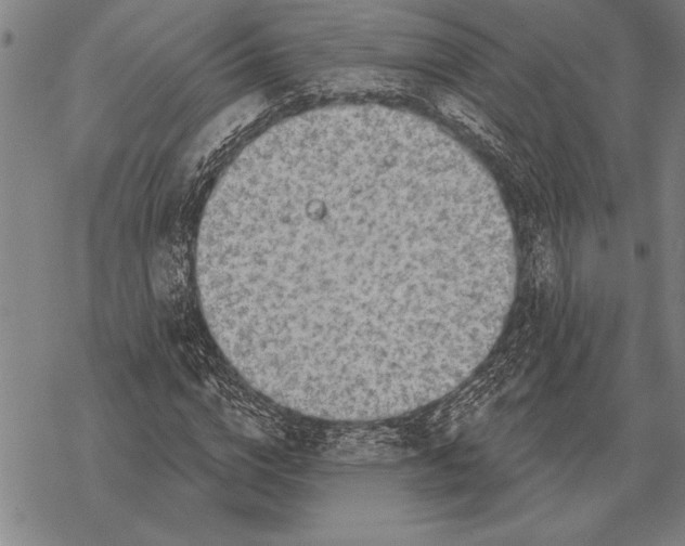 X0000068270824200605191825