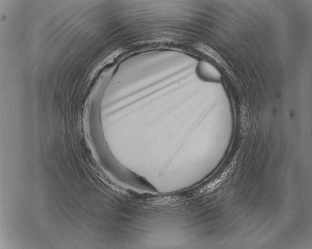 X0000068270826200605191826