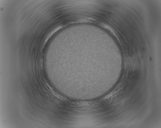 X0000068270827200605191826