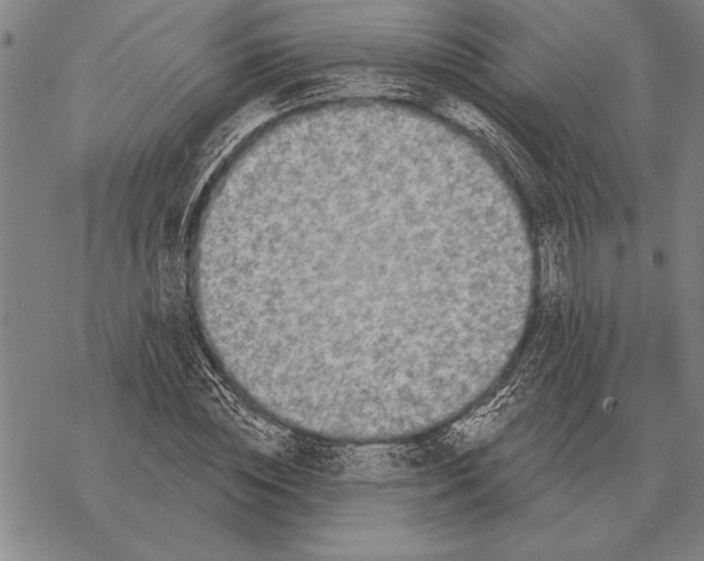 X0000068270828200605191826