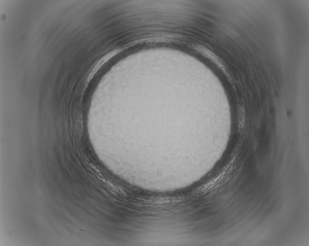 X0000068270829200605191826