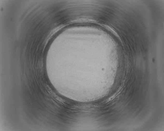 X0000068270831200605191826