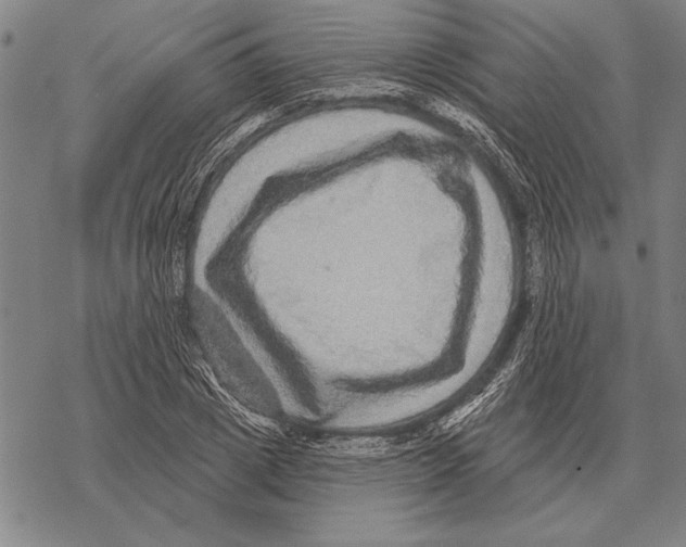 X0000068270833200605191826