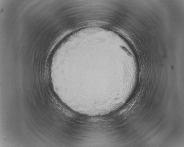 X0000068270835200605191826