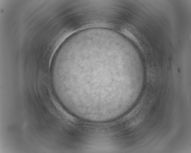 X0000068270836200605191826