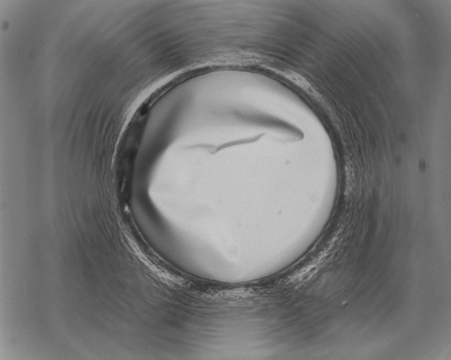 X0000068270838200605191826