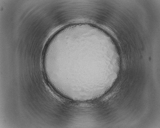 X0000068270839200605191826