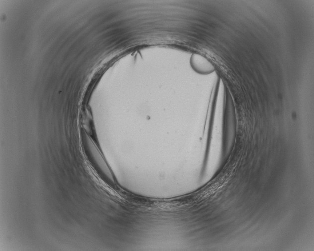 X0000068270840200605191826