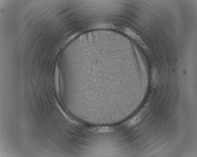 X0000068270841200605191826