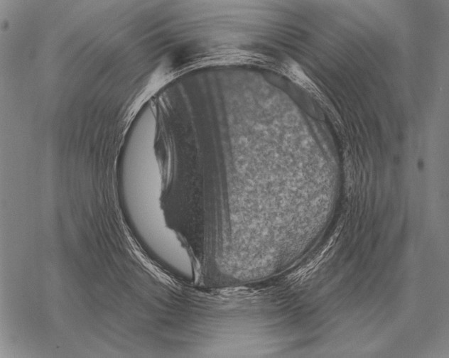 X0000068270842200605191826