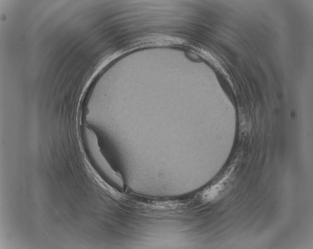 X0000068270843200605191826