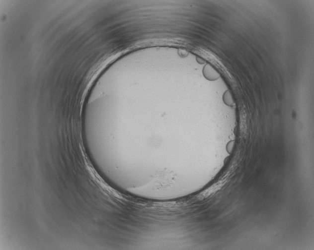 X0000068270844200605191826