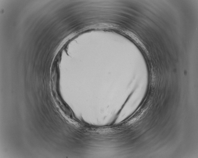 X0000068270845200605191826