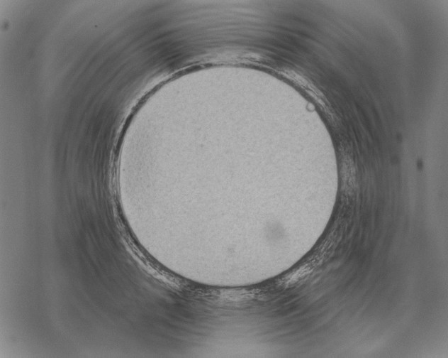 X0000068270848200605191826