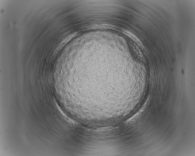 X0000068270849200605191826