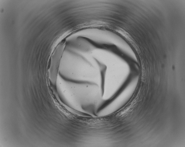 X0000068270850200605191826